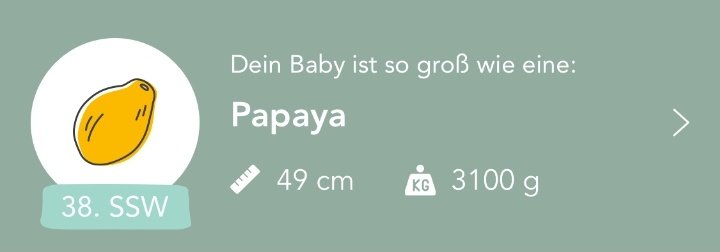 RPferdemadchen's tweet photo. #wochenwechsel
Ab heute wäre das #junibärchen kein Frühchen mehr. Hoffentlich lässt er sich trotzdem noch ein bisschen Zeit. https://t.co/uwwP9H7OLm