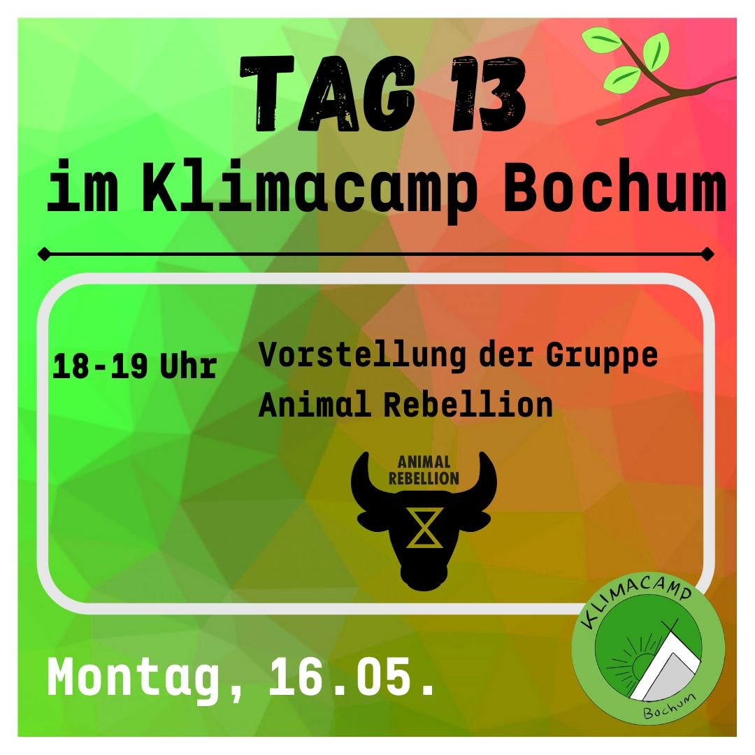 Zum Start in die Woche stellt sich um 18 Uhr die anti-speziesistische Bewegung Animal Rebellion vor. Kommt gerne vorbei und informiert euch!