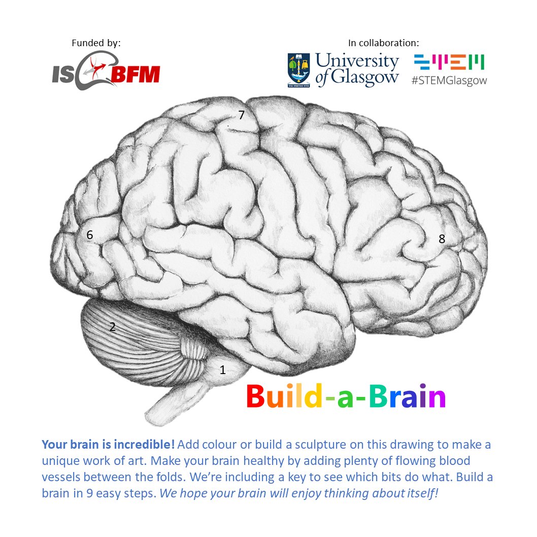 Very much looking forward to working with <a href="/PirieParkPS/">Pirie Park Primary</a> today with scientists from the <a href="/UofGlasgow/">University of Glasgow</a> for 'Build-a-brain' workshops. Get inspired by our incredible brain, make a sculpture &amp; learn how to keep it healthy <a href="/STEMglasgow/">STEM Glasgow</a> <a href="/teamWorkstroke/">Work Research group</a> #STEM <a href="/_JCBFM/">JCBFM</a>
