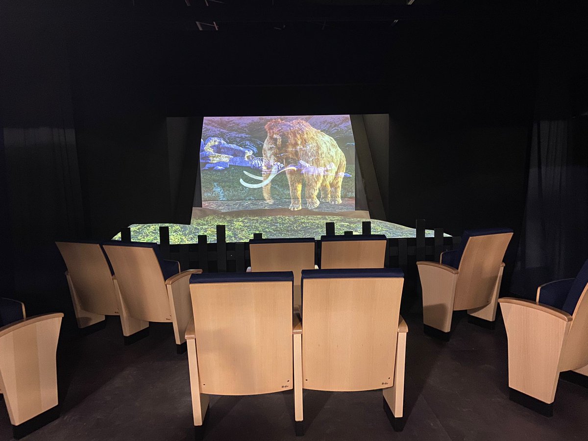EuroSeating_Int's tweet image. #differentprojects 🦖Warm theatre room in the Paleopolis theme park (Paleoscene, Gannat-France). Azahar seat, with an exclusive, elegant, and very high-quality design✨(Project carried out for Département de l'Allier / Paléopolis) #euroseatingprojects #proyectoseuroseating