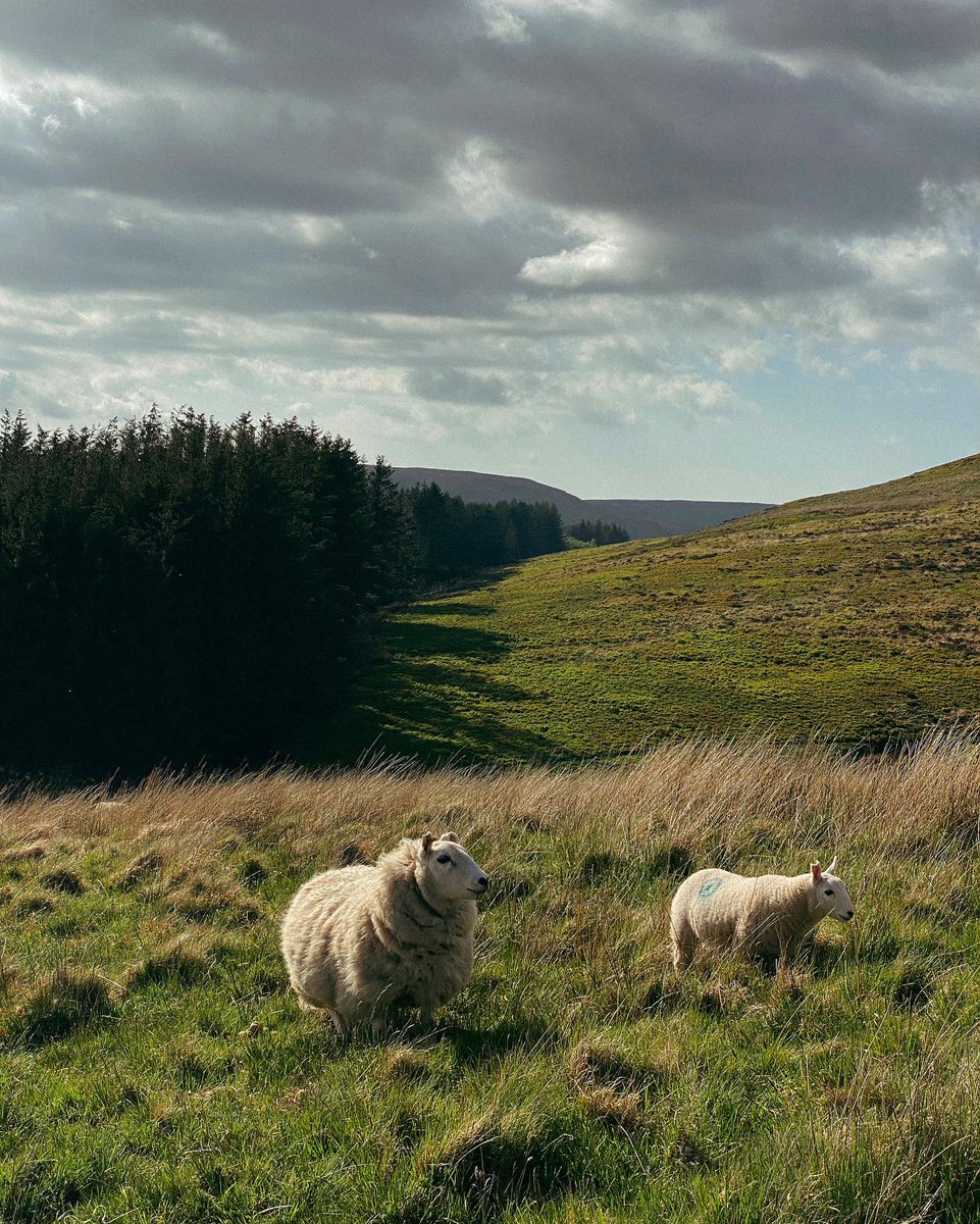 We had a great time hiking in South Wales on the weekend, making most of the Great British spring rather than worrying about sunscreen and burning.

If you want to do this route, it's called the Horseshoe Ridge hike. Happy hiking to wherever your hiking boots take you this week.