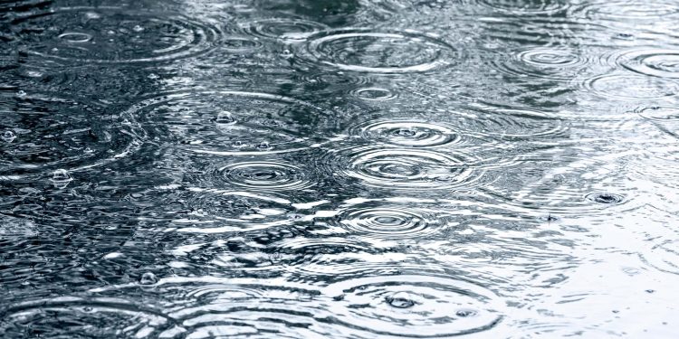 HajduPress's tweet image. Hidegfront érkezik a hét elején ☔ 

hajdupress.hu/cikk/hidegfron…

#hidegfront #Időjárás #Meteorológia