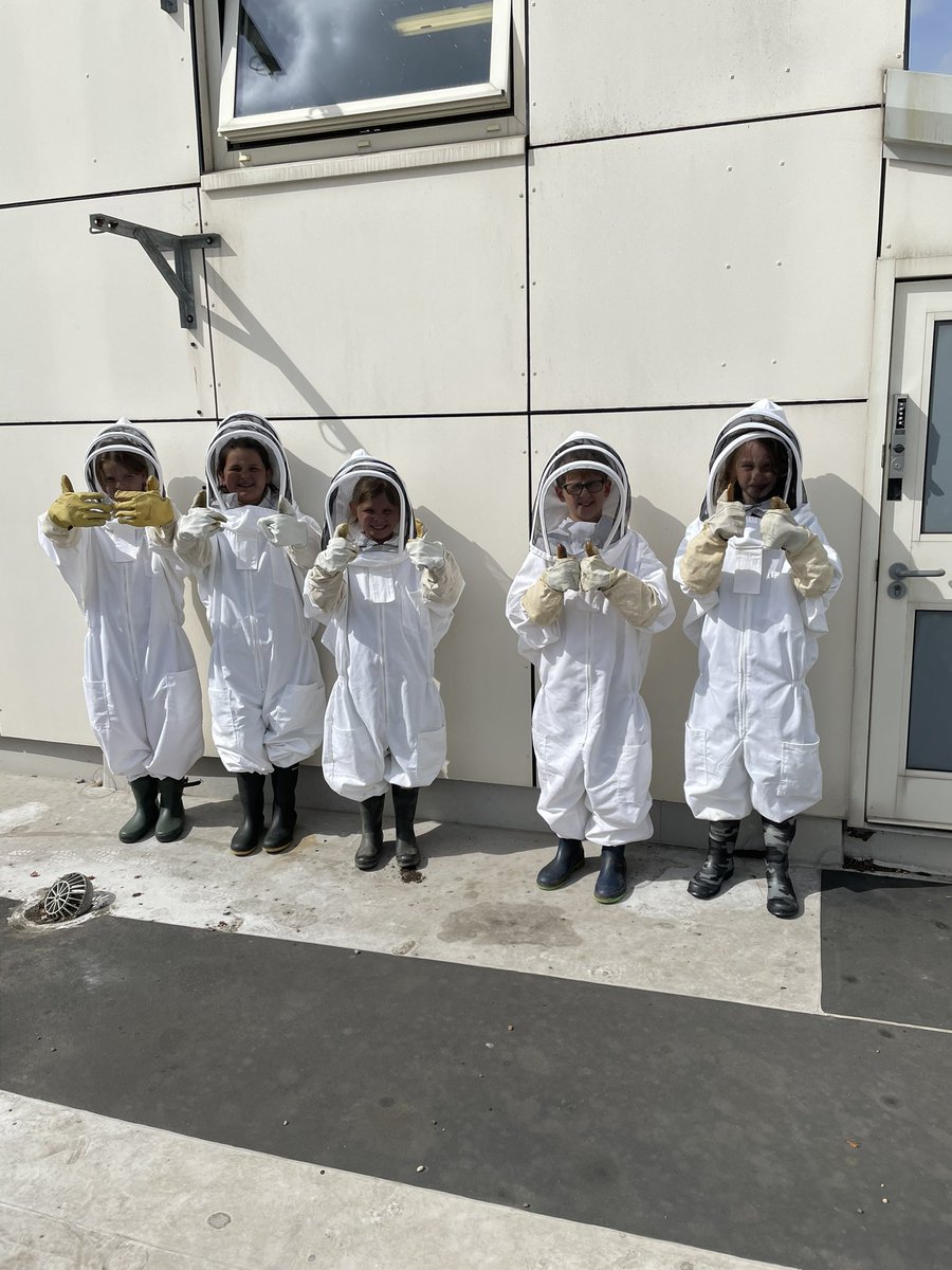 norbridge_bees tweet media