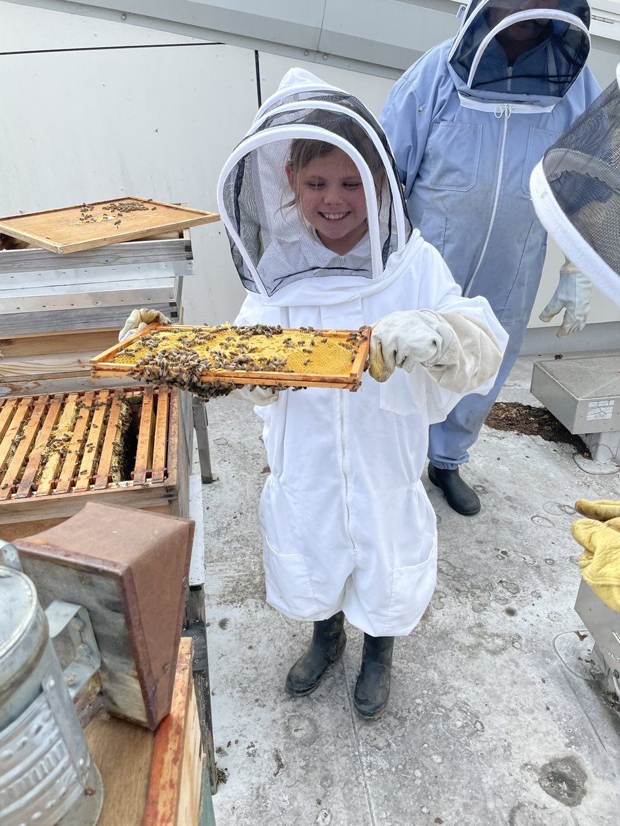 norbridge_bees tweet media