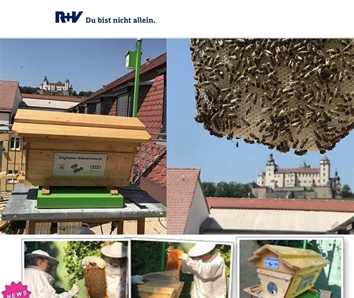 we4bee's tweet photo. #MissionMiteinander Noch bis heute Abend könnt ihr unser Projekt "we4bee - Erdbebenforschung mit Bienen" unterstützen - werdet Fan und stimmt damit für we4bee! 🐝 https://t.co/g1baJaO31J
#we4bee #Bienen #Forschung #KI #Umweltschutz #klimaschutz #Bildung https://t.co/DlojuGWaK8