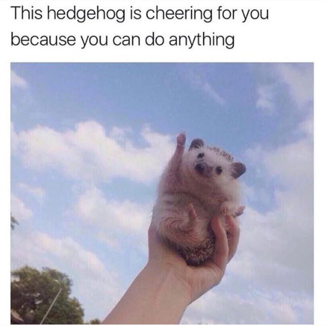 Wishing my 11s and 13s the best of luck in their exams. Go and smash it! <a href="/ESJEnglish/">ESJ English</a> <a href="/StudentLeadESJ/">ESJStudentLead</a> <a href="/ESJ6Form/">Epping St John’s Sixth Form</a>