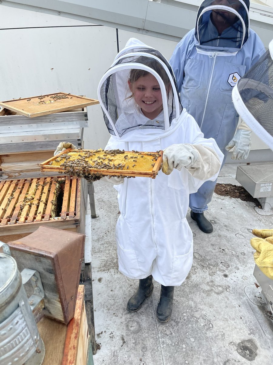 norbridge_bees tweet media