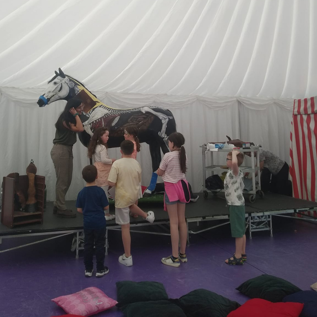 UCD School of Veterinary Medicine (@ucdvetmed) on Twitter photo Anna Juan from our Equine Field Service recently carried out a workshop with <a href="/FestinaLenteIrl/">Festina Lente</a> at <a href="/LeopardstownRC/">Leopardstown RC</a> Family Fun Race Day. Visitors had a chance to get involved with the equine veterinary world through some fun & practical activities. Thanks to everyone who came along! Anna Juan from our Equine Field Service recently carried out a workshop with <a href="/FestinaLenteIrl/">Festina Lente</a> at <a href="/LeopardstownRC/">Leopardstown RC</a> Family Fun Race Day. Visitors had a chance to get involved with the equine veterinary world through some fun & practical activities. Thanks to everyone who came along!