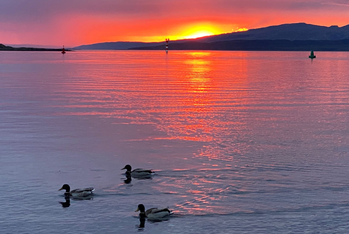 PurpleHeather17's tweet photo. Want to experience the best of our Scottish islands? Experience three of the highlights of the West Coast of Scotland on our multi-day tour.

https://t.co/51OONWd1PL

#purpleheatherscottishtours #scotland #travel #islands https://t.co/tQDFX8lRj0
