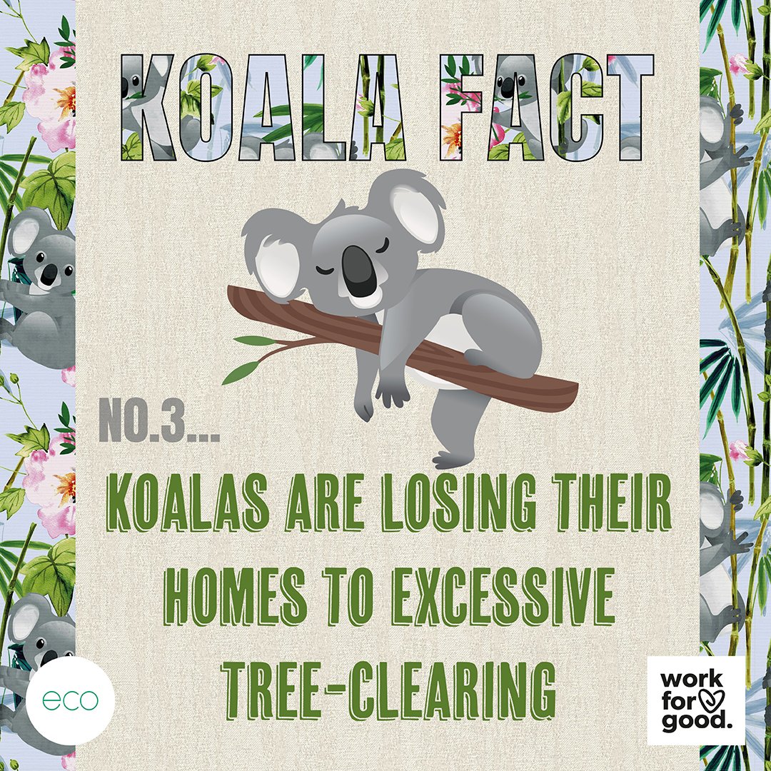 StyleStudioUK's tweet image. 🐨 Kirsty is helping us raise funds for WWF-UK’s Work for Good Campaign. 🐨 

For more information about our eco journey go to our eco page ♻️.   

stylestudio.co.uk/eco-recycled-f…

#stylestudiouk #wwf #workforgood #workforchange #eco #ecofriendly #rollerblinds