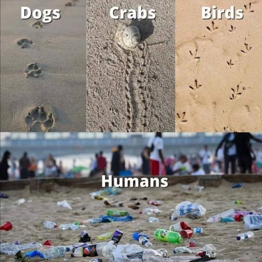 We have forgotten how to be good guests, how to walk lightly on the earth as its other creatures do.
Dear Humans, #RestoreOurEarth

#ClimateCrisis #FridaysForFuture #SaveSoil #conservation #ClimateEmergency #Sadhguru #ConsciousPlanet #ActNow