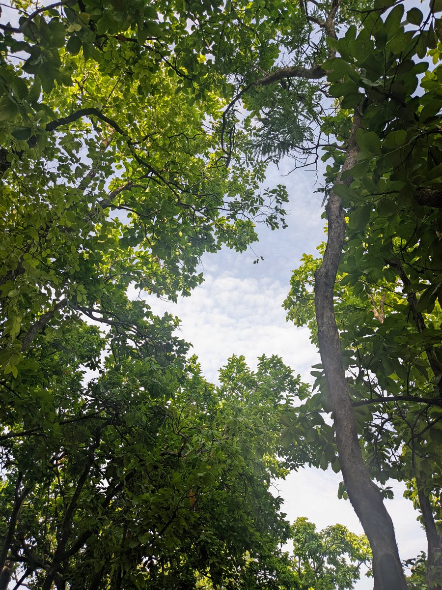 Radiate positivity.
#MondayMotivation