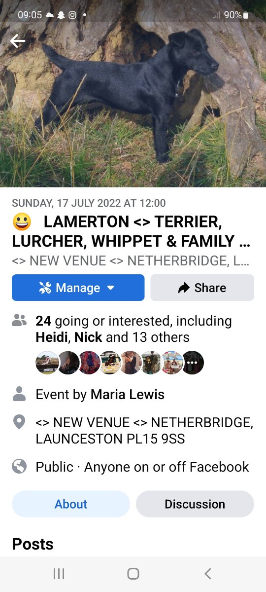 maria lewis tweet media