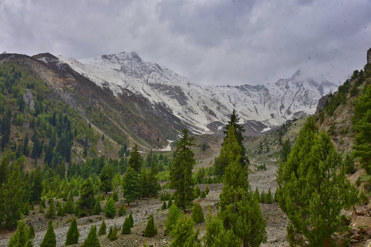 iabdullayounus's tweet photo. @ACDistrictNagar Gappa Valley 💚 https://t.co/SBV0KjjUjZ