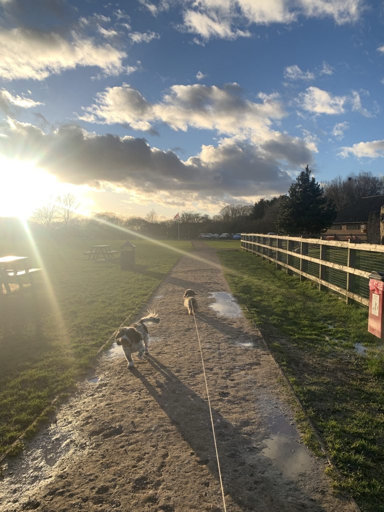 ProjectSoothe's tweet photo. This new submission is certainly making us feel soothed - what about you? #ProjectSoothe #CitizenScience #MondayMindfulness https://t.co/vT32gQFFSt