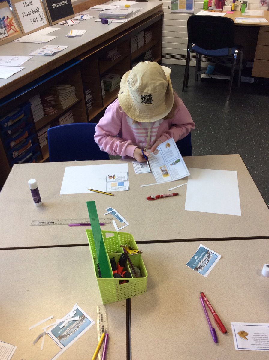 Highfield St. Matthews Y4 tweet media