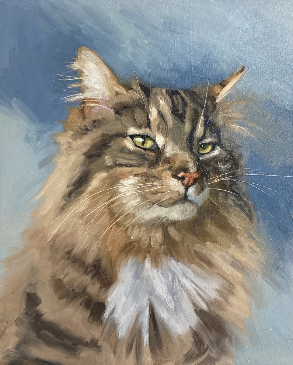 SheilaMacNally's tweet photo. @WillSliney Just my cat. I draw with paint 😄 https://t.co/sipjQR8Igv
