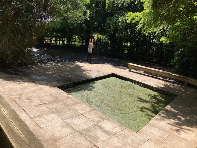 A huge thank you to Mr Hill and Finley, as well as the rest of their team for all of the amazing hard work they did at the weekend clearing and tidying our pond area!
It looks fantastic and the children will now be able to enjoy using this area of the school. 😊