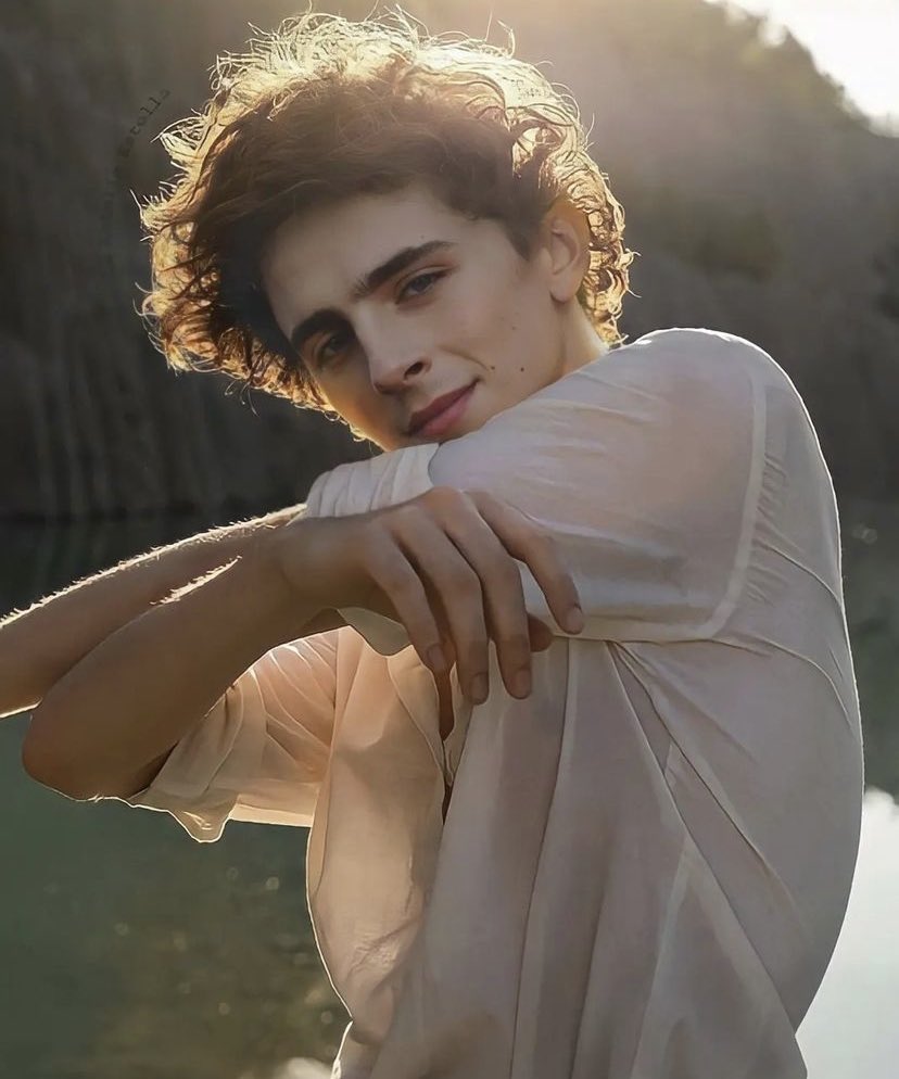 good morning to golden hour timothée chalamet only
(manip)