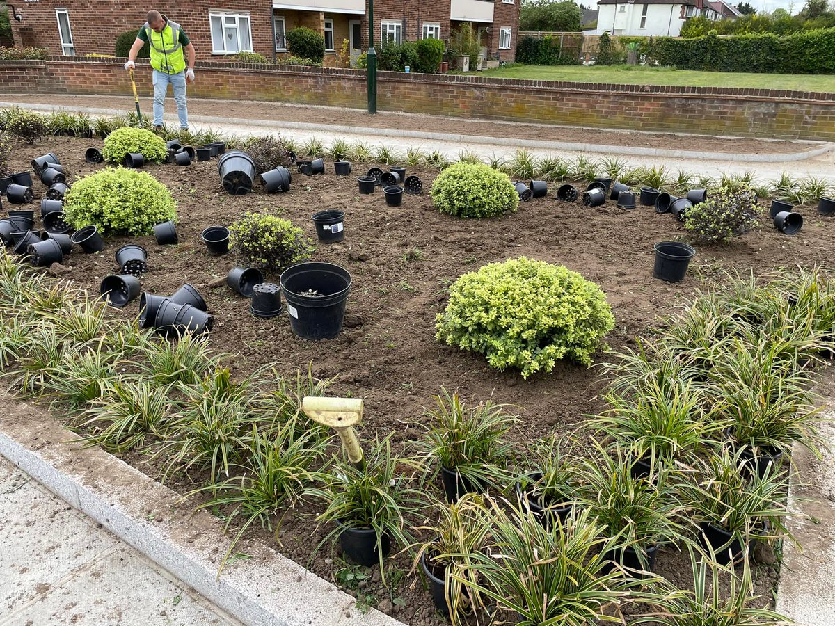 KLGUK's tweet photo. Andrei A, Andrei M, Silviu &amp; Stephen have been busy adding 1100 plants to the beds by Montrose Ave - opposite our yarrd. The area was designed by Denise and all 1010 plants were set out in one day.
#KLG #design #plantbeds #neighbours #montroseavenue #turingschool #environment https://t.co/pHH5KfeEco