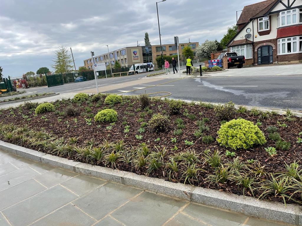 Andrei A, Andrei M, Silviu &amp; Stephen have been busy adding 1100 plants to the beds by Montrose Ave - opposite our yarrd. The area was designed by Denise and all 1010 plants were set out in one day.
#KLG #design #plantbeds #neighbours #montroseavenue #turingschool #environment
