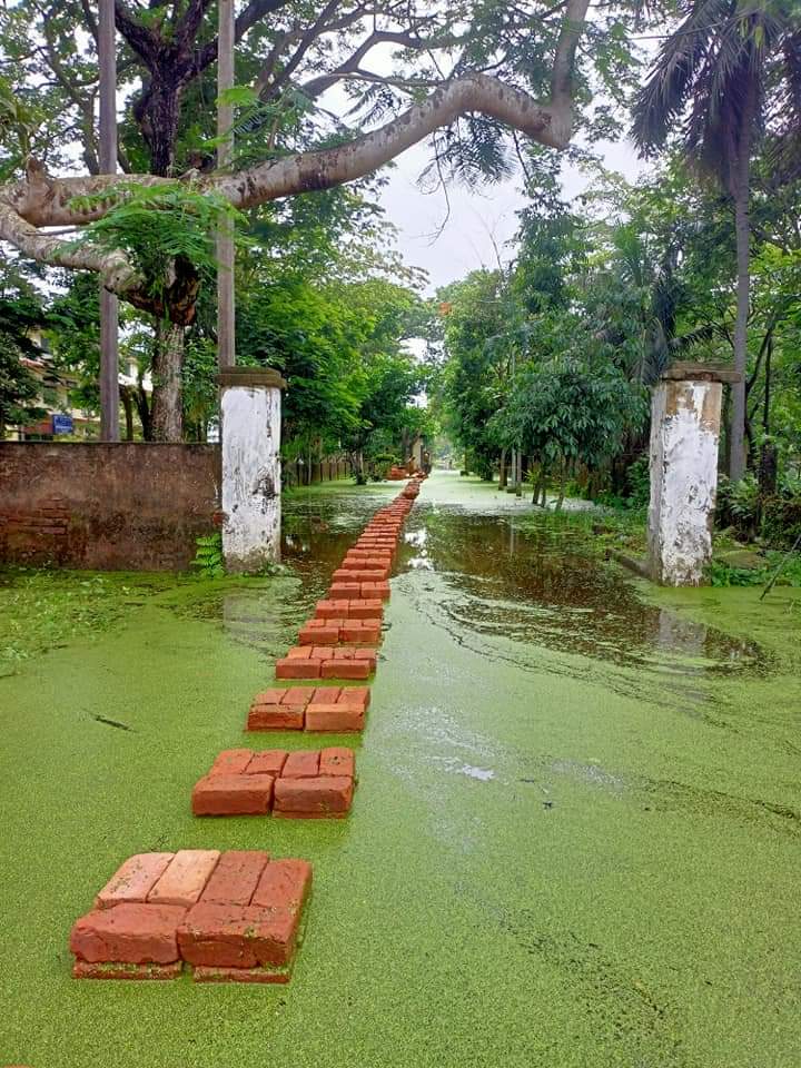 AhmedWashifa's tweet photo. It is important 
So this a picture of how way to our hostel seems nowadays!! (RCC 5 and Rcc8 Girls hall Gauhati University)
 
#GauhatiUniversity
#negligence
#PratidinTime  #WaterBlockage
@himantabiswa 
@Pijush_hazarika 
Please look into the matter as soon as possible https://t.co/kOHRBDddfa