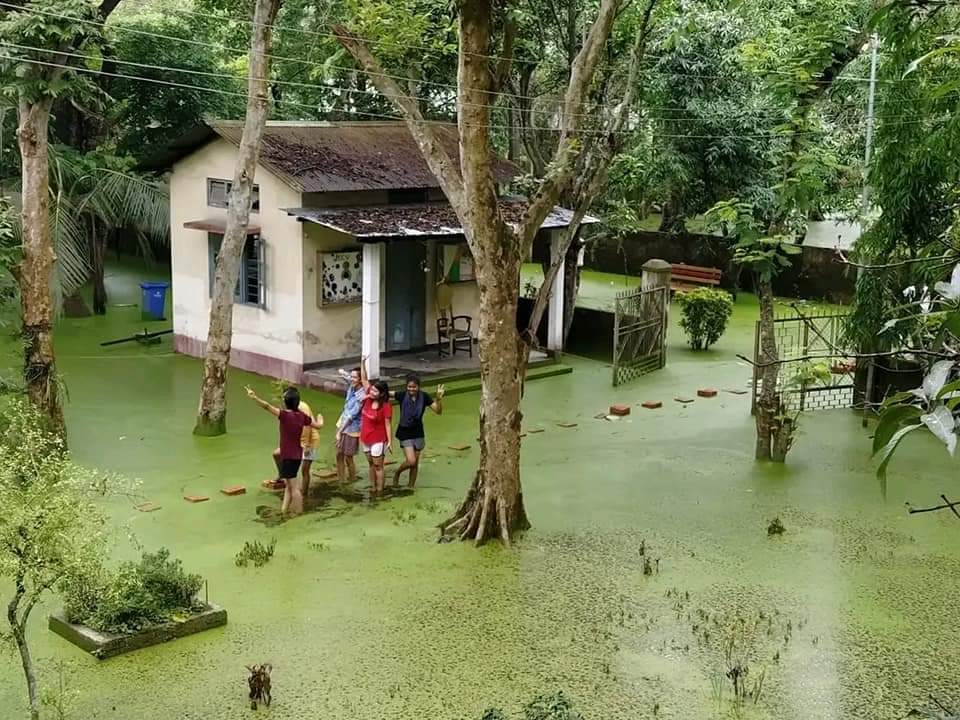 AhmedWashifa's tweet photo. It is important 
So this a picture of how way to our hostel seems nowadays!! (RCC 5 and Rcc8 Girls hall Gauhati University)
 
#GauhatiUniversity
#negligence
#PratidinTime  #WaterBlockage
@himantabiswa 
@Pijush_hazarika 
Please look into the matter as soon as possible https://t.co/kOHRBDddfa