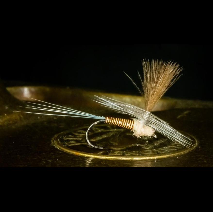 FarmsWhiting's tweet photo. Pretty nice looking parachute
@dead_guy_fly
Tying up some Red Quills today. This was tied on a Ahrex 502 Light wire size 14.

#regalvise #whitingfarms #ahrexhooks #semperfliflytying #solarez #troutfishing #trout #flyfishing #flytying #thetugisthedrug #fishing #dryfly https://t.co/rnhdOdvLwT