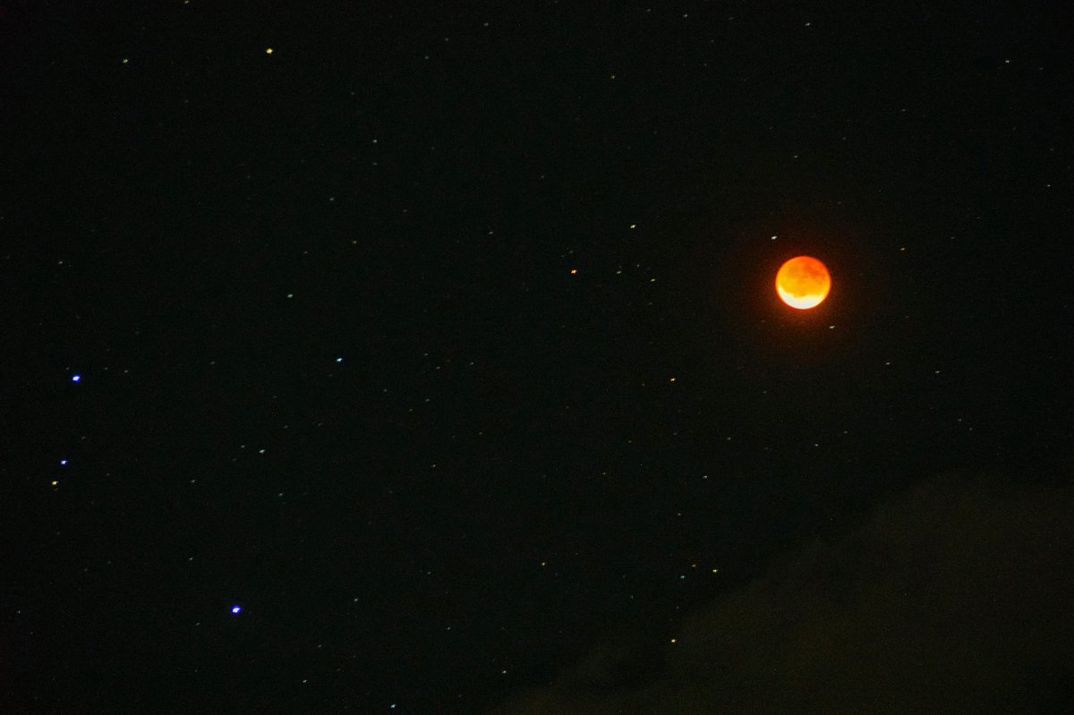 Caleb Foster tweet media