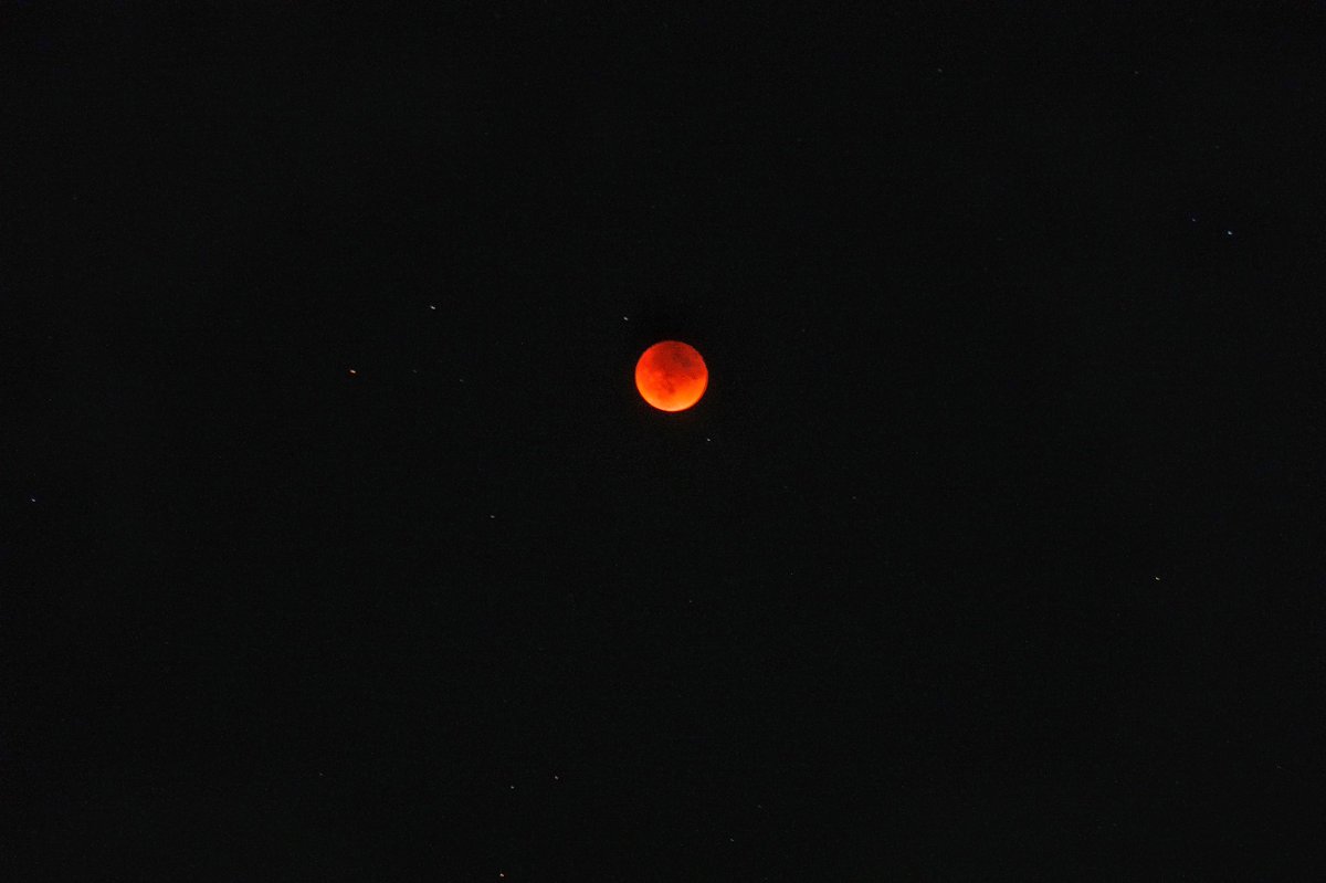 Caleb Foster tweet media