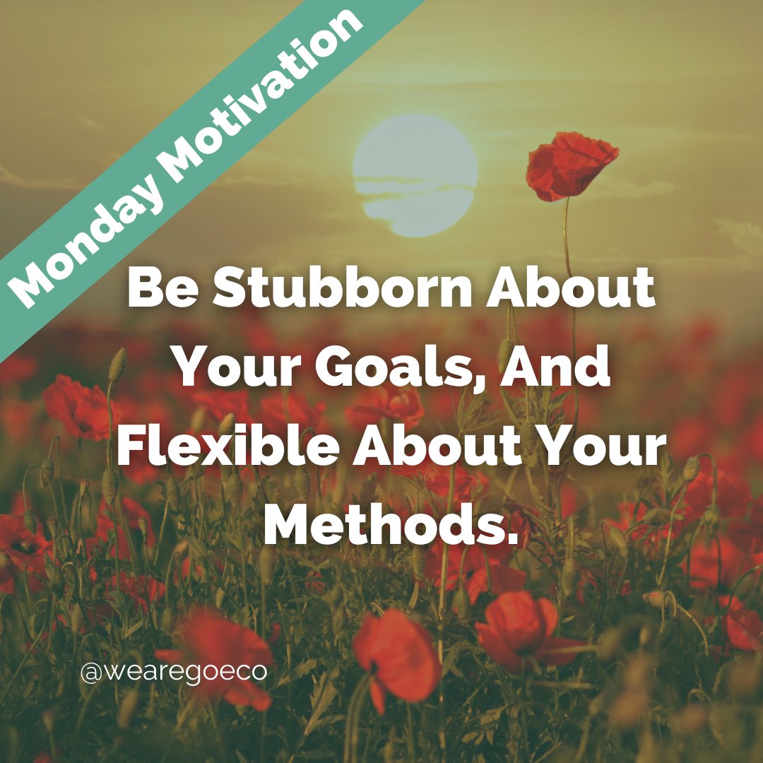 WeAreGoEco's tweet photo. ✨Some #mondaymotivation to start the week ✨

Life doesn’t always go as planned, and success isn’t always achieved by the first method you try. 

Never forget your goals, but be flexible in how you reach them. https://t.co/so2wkvOB1a