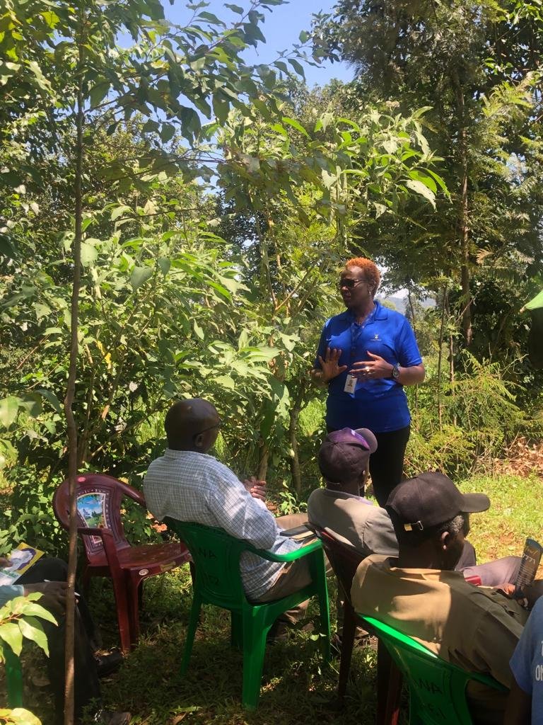 KenyaPower's tweet photo. Hellen Cherono Mogire, CX officer, at Mekonge in Kisii, conducts customer education on Kenya Power products, wayleave encroachment, trace maintenance, the application processes, and the various communication channels.
#KenyaPowerAtWork https://t.co/89KX0uLGc2