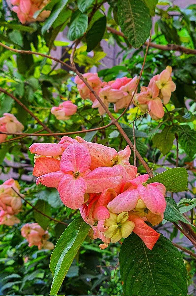 Imtanuja1's tweet photo. "When life gives scorching heat of the ๐
Be hopeful of the ๐งrain too"๐
#iloverains
#Heatwave
#rains
#pray ๐
#NaturePhotography
#NatureBeauty
#naturelovers https://t.co/413MagUHbZ