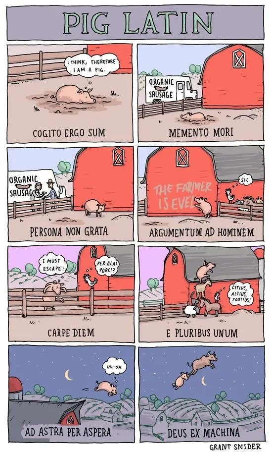 PhilosophyMttrs's tweet photo. Latin Lessons https://t.co/hPfP9QPU2o