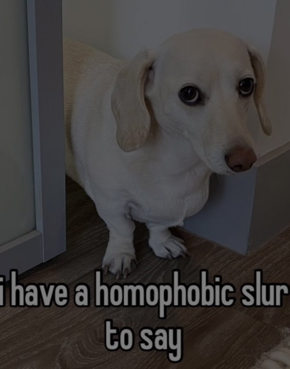 itsallyzza's tweet photo. @Geesus_way c5 if he were a dog https://t.co/BCHdHdcK0t