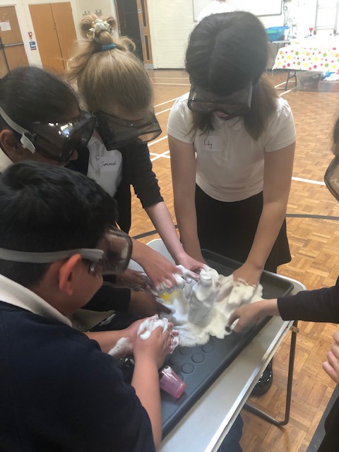 HandfordHallPS's tweet photo. Large intestine and small intestine - we are learning about their functions. And we are having fun!
#year4science https://t.co/UQdqwvFdUu