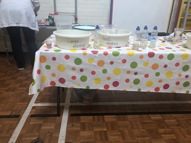 HandfordHallPS's tweet photo. Large intestine and small intestine - we are learning about their functions. And we are having fun!
#year4science https://t.co/UQdqwvFdUu