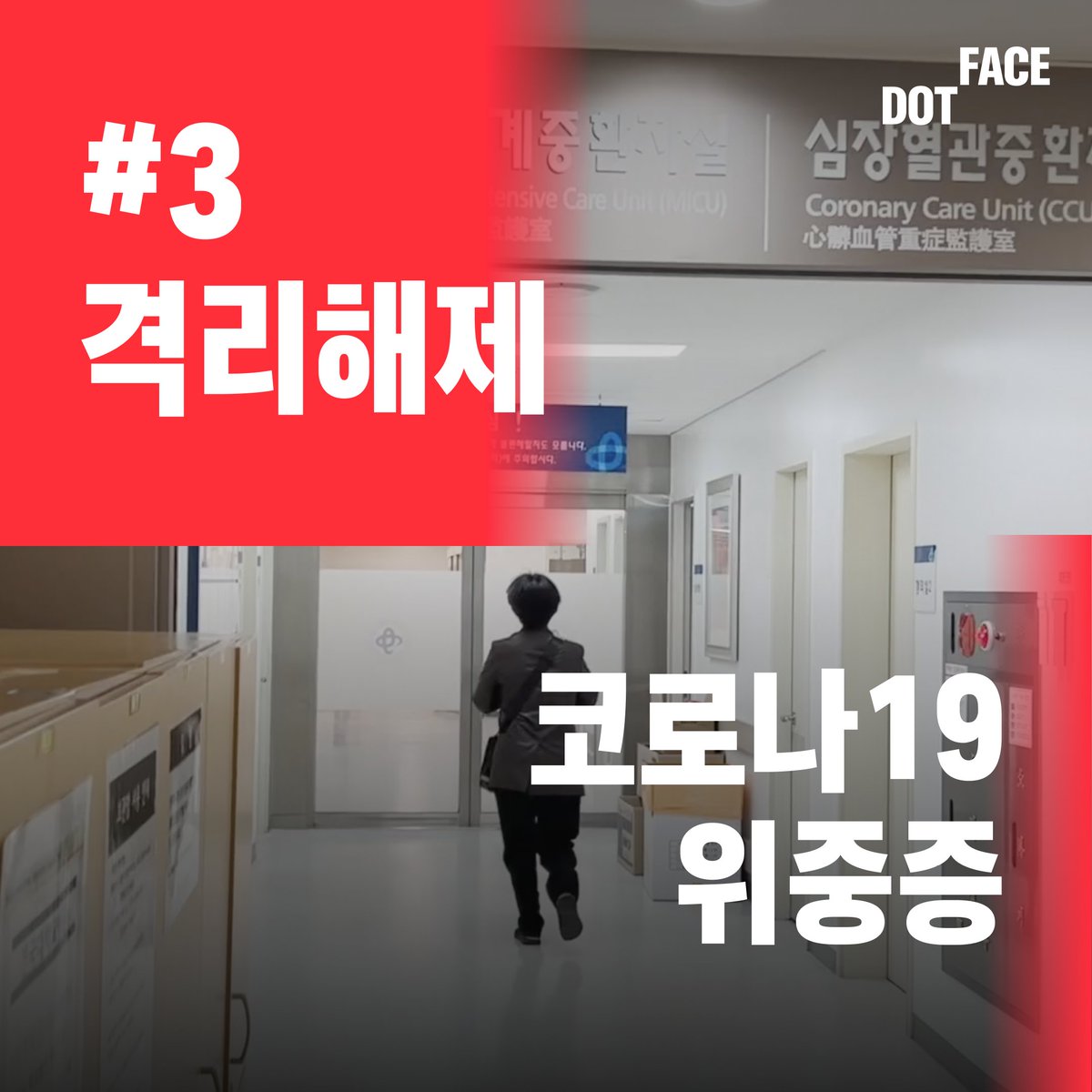 닷페이스 .face tweet media