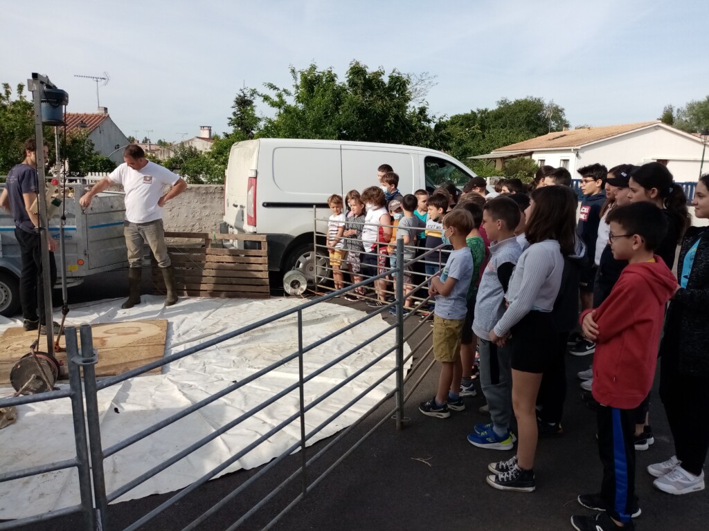 Ecole_SteMarie's tweet photo. 🌾A LA DÉCOUVERTE DES MÉTIERS 
Lundi nous avons continué à découvrir le métier d'agriculteur.
Mme RENAUD est intervenue pour présenter l'élevage de moutons.Nous avons vivement apprécié la tonte de moutons.🐑
Retrouvez les photos: https://t.co/tA3hFrnLLo
#saintmichelenlherm #ec85 https://t.co/J5CvmzGoGY