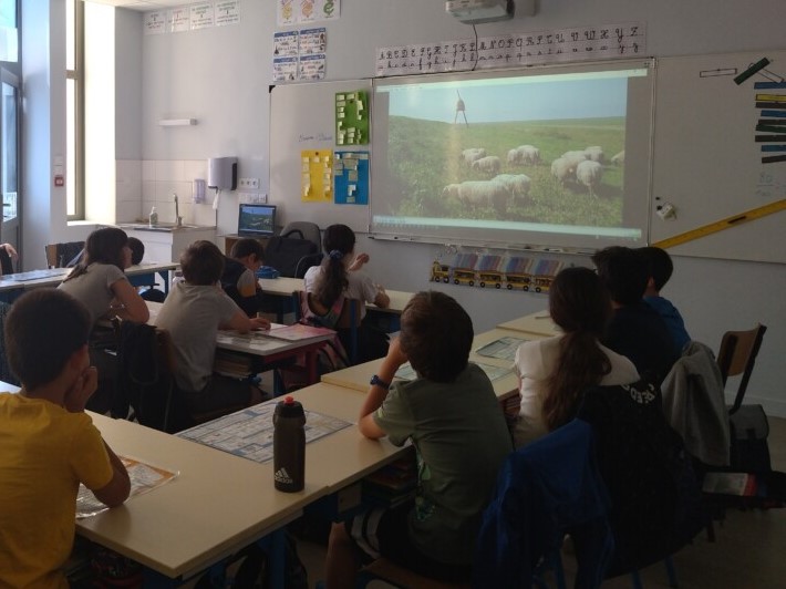 Ecole_SteMarie's tweet photo. 🌾A LA DÉCOUVERTE DES MÉTIERS 
Lundi nous avons continué à découvrir le métier d'agriculteur.
Mme RENAUD est intervenue pour présenter l'élevage de moutons.Nous avons vivement apprécié la tonte de moutons.🐑
Retrouvez les photos: https://t.co/tA3hFrnLLo
#saintmichelenlherm #ec85 https://t.co/J5CvmzGoGY