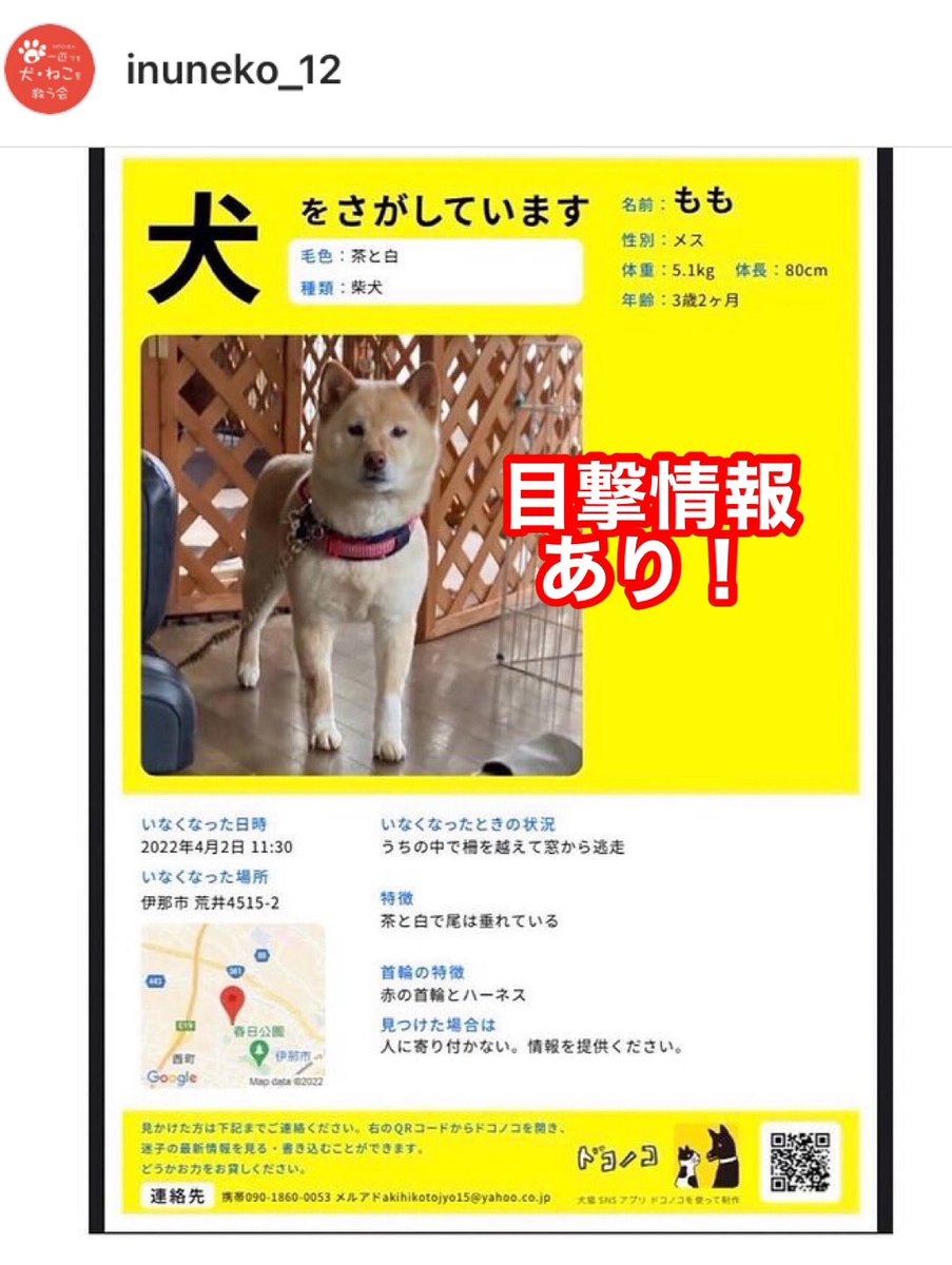 willdogcare's tweet photo. 長野県伊那市で4/2から迷子中の白柴犬ももちゃんの目撃情報がありました。かんてんぱぱガーデンのあたりです。お近くの方、目撃した方、保健所、警察署などに情報をお寄せください。よろしくお願いします。#一匹でも犬ねこを救う会#迷子犬#迷い犬#伊那市#かんてんぱぱ https://t.co/oXdNwnK3sO