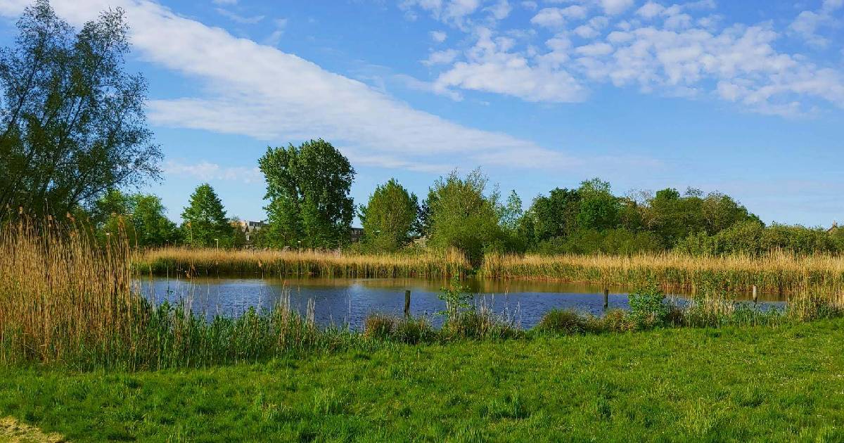 Kampeerwensen's tweet photo. We wensen iedereen een fijne week.
#fotovanvandaag #kampeerwensen #natuur #nederland #zuidholland #wandelen #genieten #buitenleven #goedemorgen #outdoor #naarbuiten #landschap #natuurfotografie #zon #lente https://t.co/sTbDnsXize