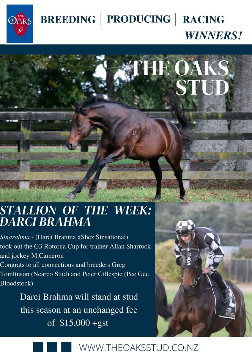 OaksStud's tweet photo. Our stallion pick of the week is Darci Brahma, after his daughter Sinarahma
signed off her career with a G3 Rotorua Cup win on the weekend!
He will stand this coming season for a valuable $15,000 +gst
#breedvalue #preparetowin #getintouch https://t.co/kcUJtaYAqf