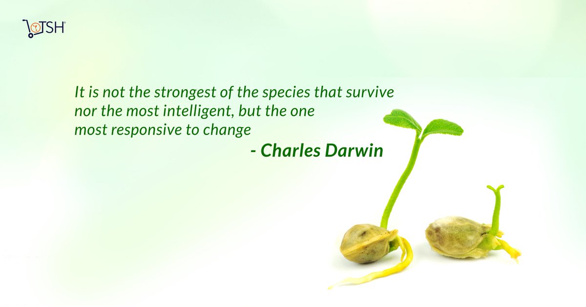 The Seedhub tweet media