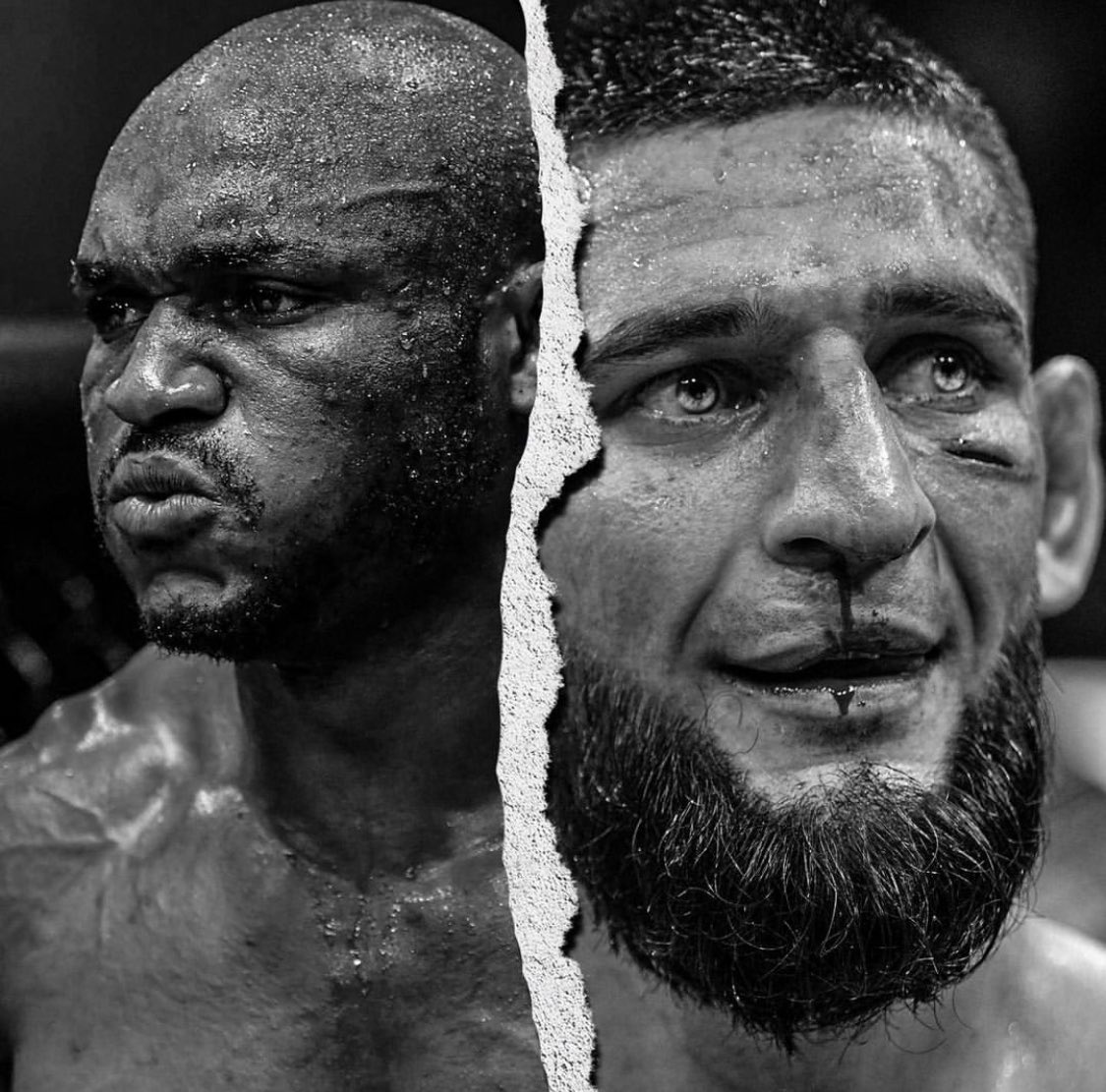 tell me when you're ready <a href="/USMAN84kg/">KAMARU USMAN</a>