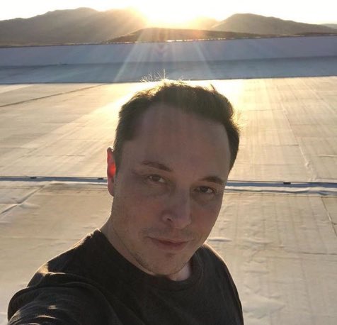 monthlyelon's tweet photo. https://t.co/jWGqTIevd1