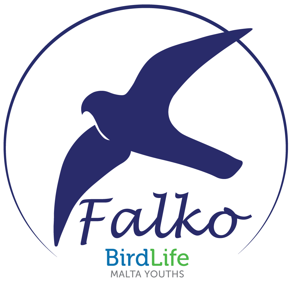 Falko_BirdLifeM's tweet photo. Don't miss out on our #citizenscience training session this Saturday! Join us to learn more about how we can come together to protect nature &amp; take part in the 1st annual Aleppo Pine survey at Foresta 2000. If you want to help us save nature sign up here: https://t.co/R12hTkaTZb. https://t.co/RL03M55HKs
