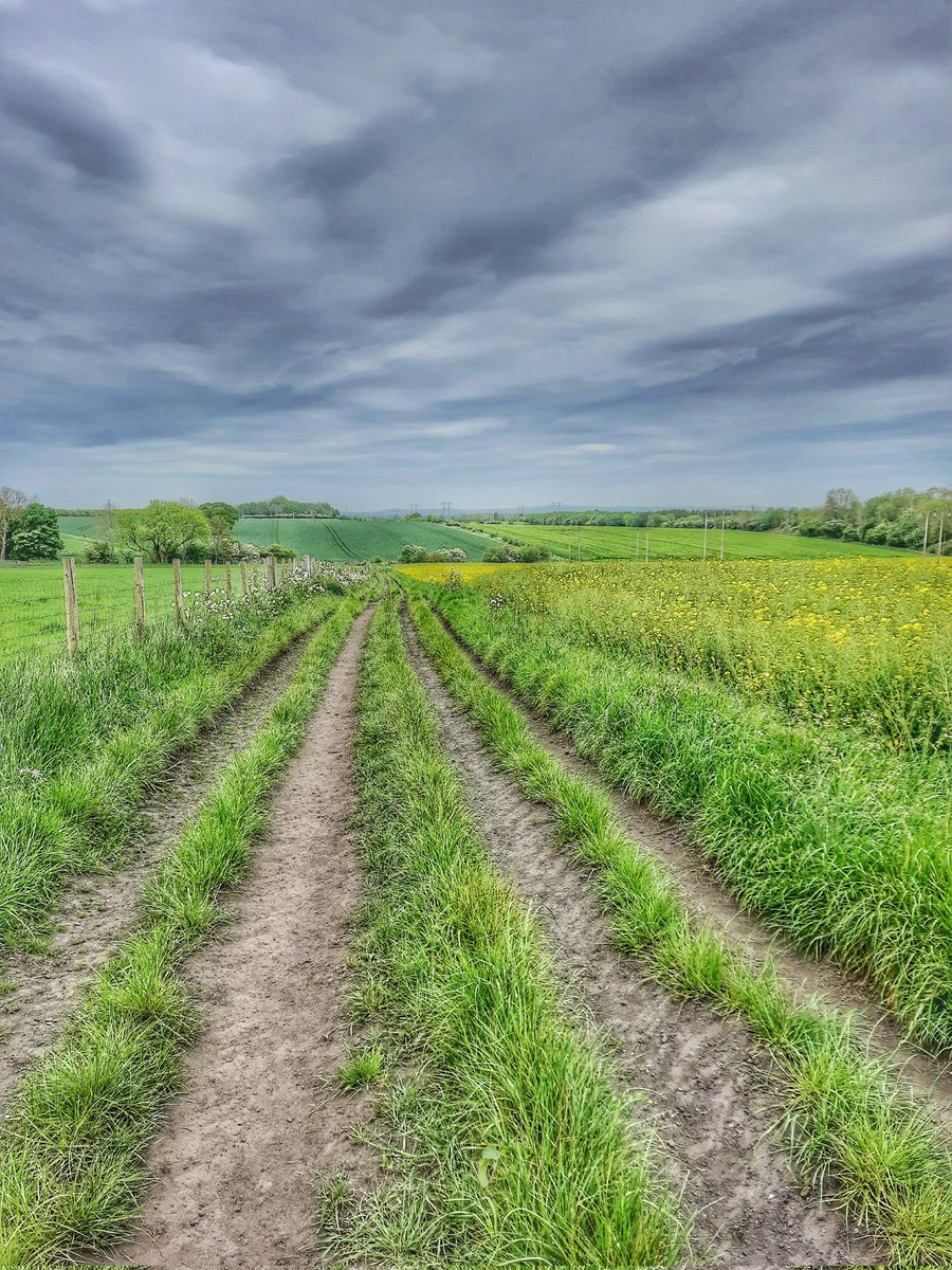 ChunAlan's tweet photo. Good morning... #EnglishCountryside #crops #farmtrack #landscape #stormyskies #rainclouds #weatherpictures #hikinguk #walkinguk #StormHour #ThePhotoHour https://t.co/jikPyTDatR