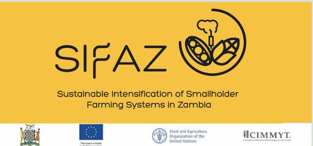 HambuloN's tweet photo. Happening now. Enumerator training in Lusaka for the @FAOZambia, @CIMMYT and Ministry of Agriculture in Zambia #SIFAZ project on #sustainable #intensification of smallholder farming systems.

#adoption #impact https://t.co/EK5Oc044uY