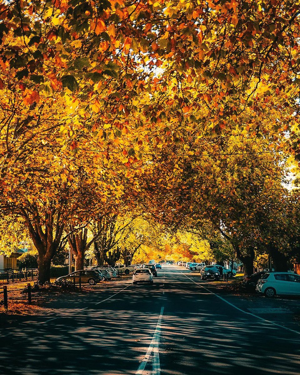 Melbourne tweet picture